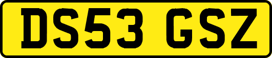 DS53GSZ