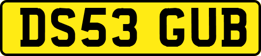 DS53GUB