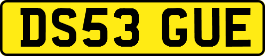DS53GUE