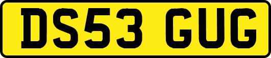 DS53GUG