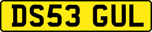 DS53GUL