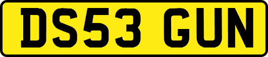 DS53GUN