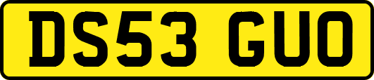 DS53GUO