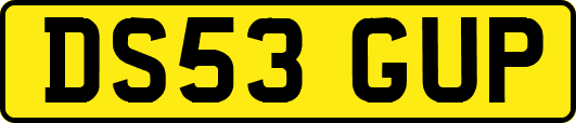 DS53GUP