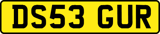 DS53GUR