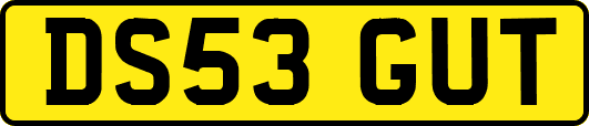 DS53GUT