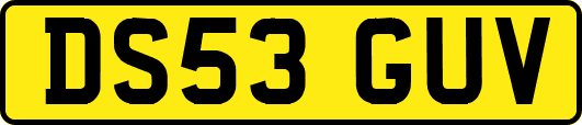 DS53GUV