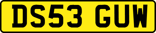 DS53GUW