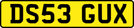 DS53GUX