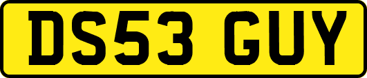 DS53GUY