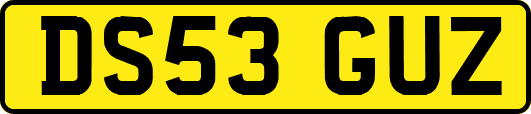 DS53GUZ