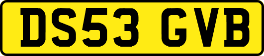 DS53GVB