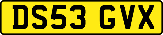 DS53GVX