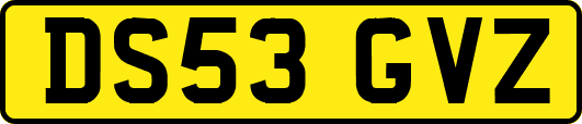 DS53GVZ