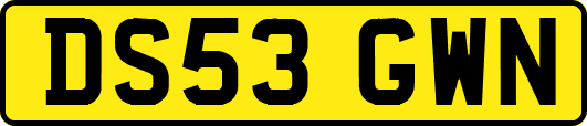 DS53GWN