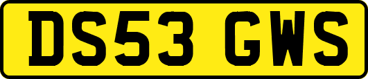 DS53GWS