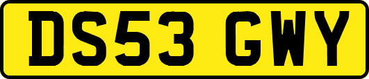DS53GWY