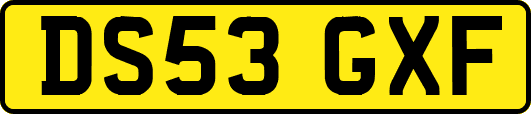 DS53GXF