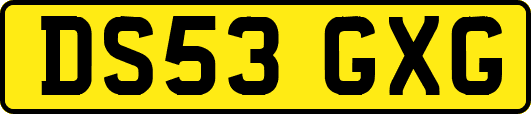 DS53GXG