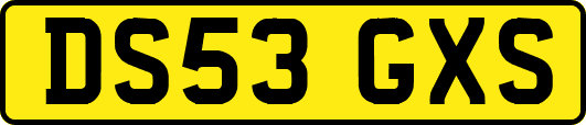 DS53GXS
