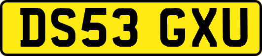 DS53GXU