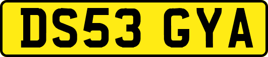 DS53GYA
