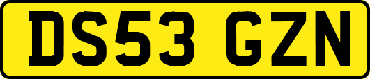 DS53GZN