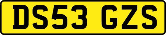 DS53GZS