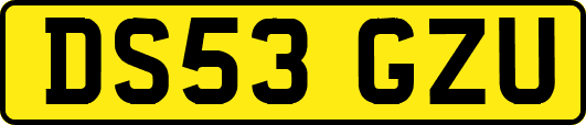 DS53GZU