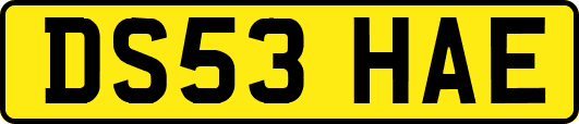 DS53HAE
