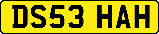 DS53HAH