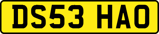 DS53HAO