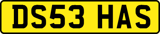 DS53HAS