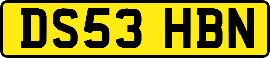 DS53HBN