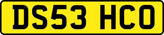 DS53HCO