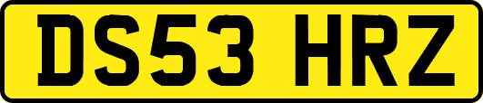 DS53HRZ
