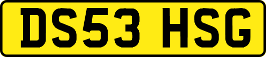 DS53HSG