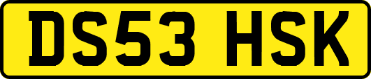 DS53HSK