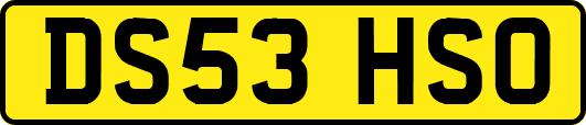 DS53HSO