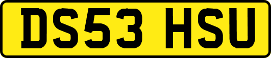 DS53HSU