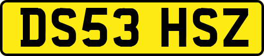 DS53HSZ