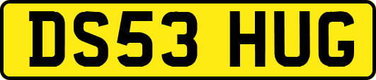 DS53HUG