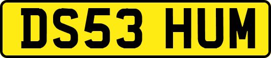 DS53HUM