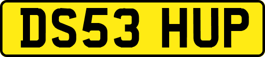 DS53HUP