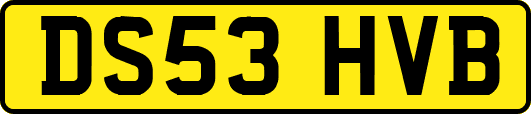 DS53HVB