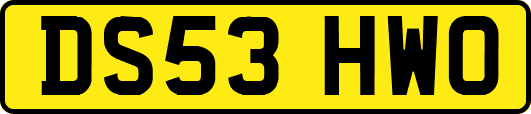 DS53HWO