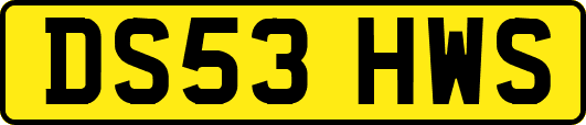 DS53HWS