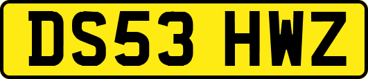 DS53HWZ