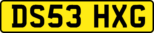 DS53HXG