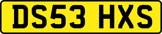 DS53HXS